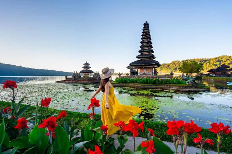 Bali: Full Day North Bali Private Customized Tour - Booking decision: who should book this and who should skip it