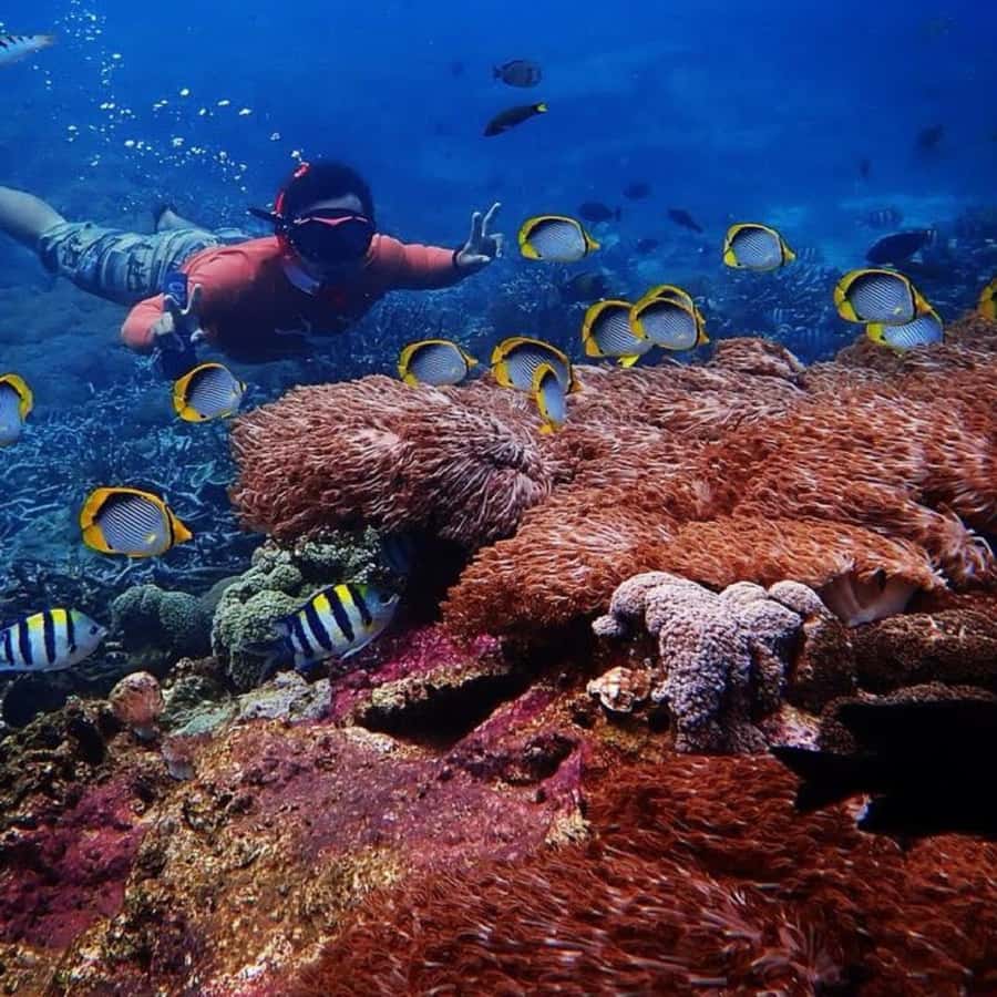 Bali : Full Day Nusa Lembongan - Snorkeling Tour - Nusa Lembongan Day Timing, fast boat, and why 10 hours can feel like more