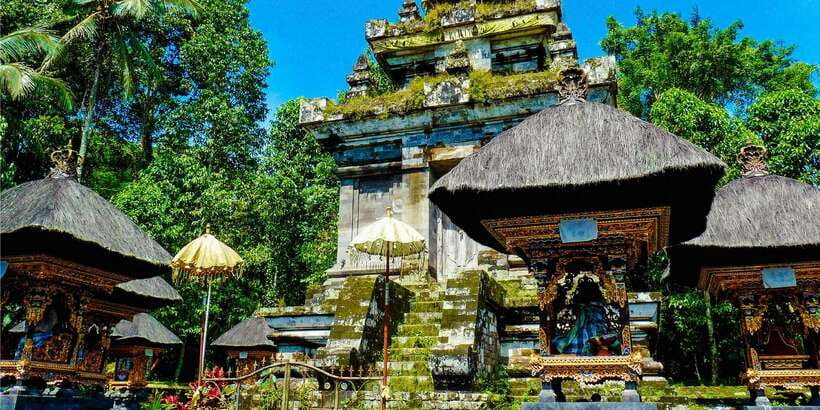 Bali: Full-Day Private Water Temple Ritual & Yoga Class - Lunch with vegan and vegetarian options plus pool time