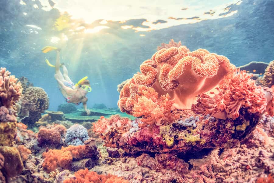 Bali: Full-Day Snorkeling Trip to Nusa Penida & Manta Point - First snorkeling session around Nusa Penida, why this island is the draw