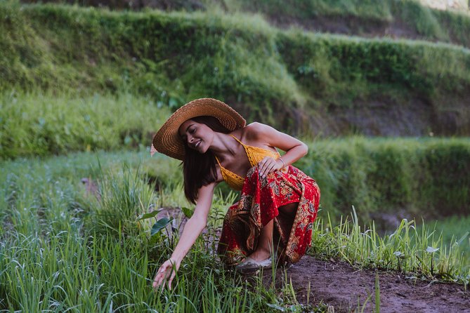 Bali Full Day Tour: Highlights of Ubud and Hidden Waterfall - Ubud In One Day, Without the Usual Whiplash