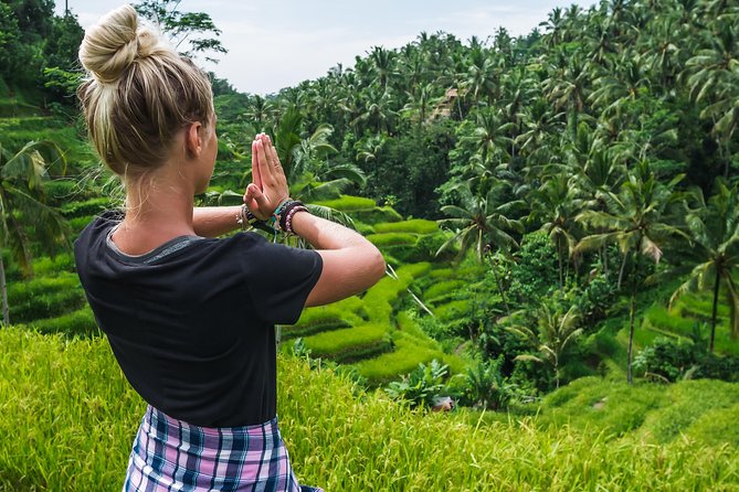 Bali Full Day Tour: Highlights of Ubud and Hidden Waterfall - Price and What You Get for $89