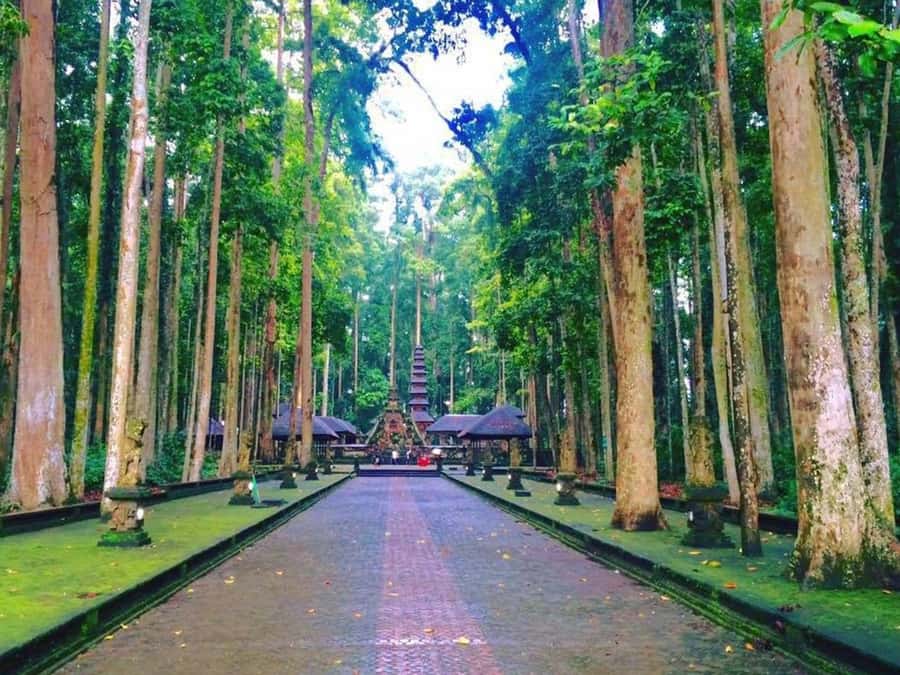 Bali: Full-Day Tour of Nungnung Waterfall, Tanah Lot Tample - The day’s flow: pickup timing and how to use the ride