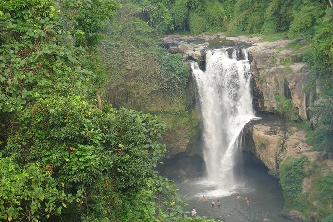 Bali Full-Day Traditional Village Sightseeing Trip All Inclusive - Luwak Coffee and Rice-Field Stops, Great Storytelling With Ethics to Consider