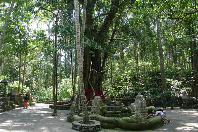 Bali Full-Day Traditional Village Sightseeing Trip All Inclusive - Guides Like Pakis, Arya, and Margot Make This Tour Feel Personal