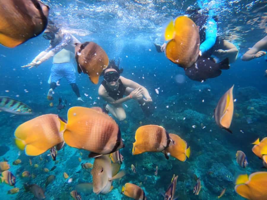 Bali Full Day Trip Fishing, Snorkeling,Eat in Candidasa - Why Candi Dasa waters are a smart choice for this kind of day