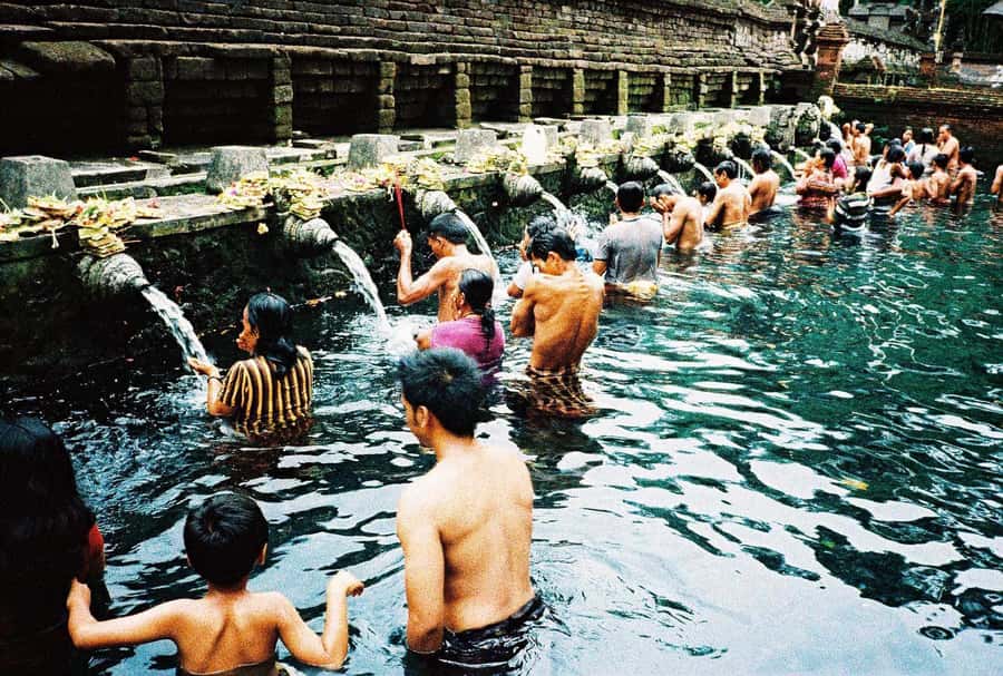 Bali: Full-Day Trip to Penglipuran Village and Bamboo Forest - Bamboo forest walk: the anti-crush moment