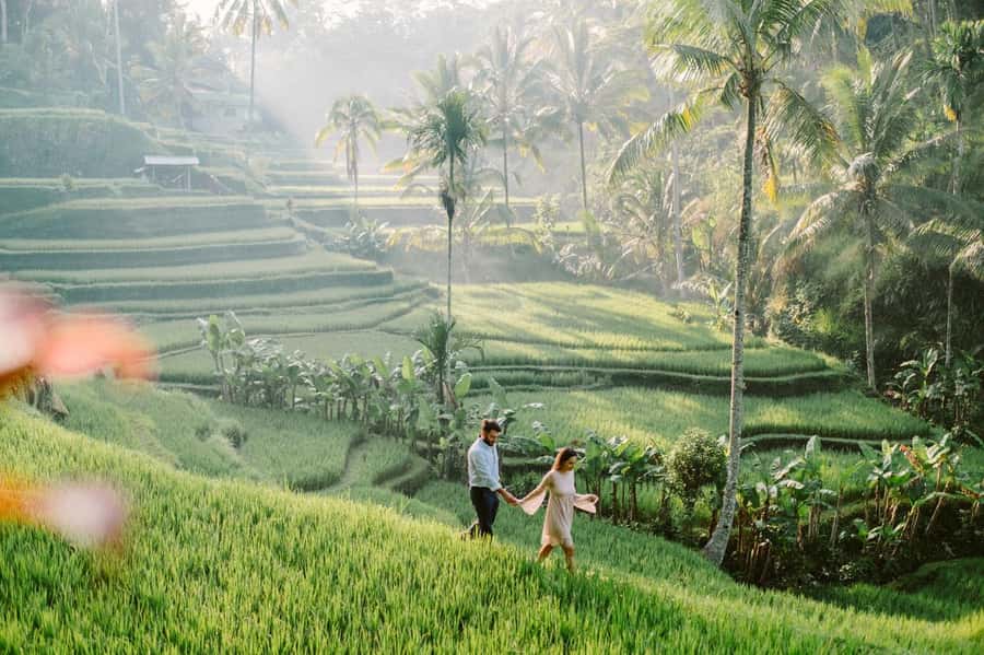 Bali: Full-Day Trip to Penglipuran Village and Bamboo Forest - Temen coffee plantation: more than just a tasting flight