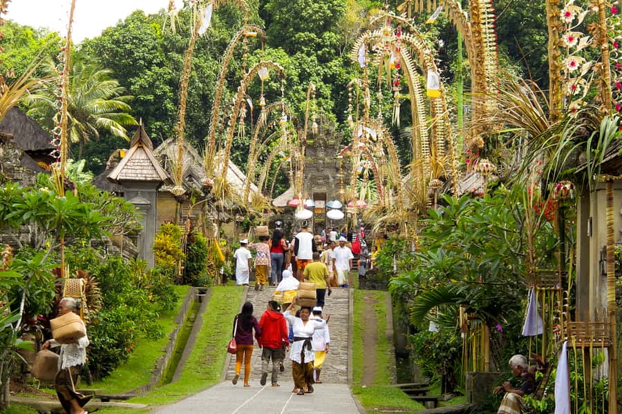 Bali: Full-Day Trip to Penglipuran Village and Bamboo Forest - Pickup and the first rice terrace stop: how your day starts well