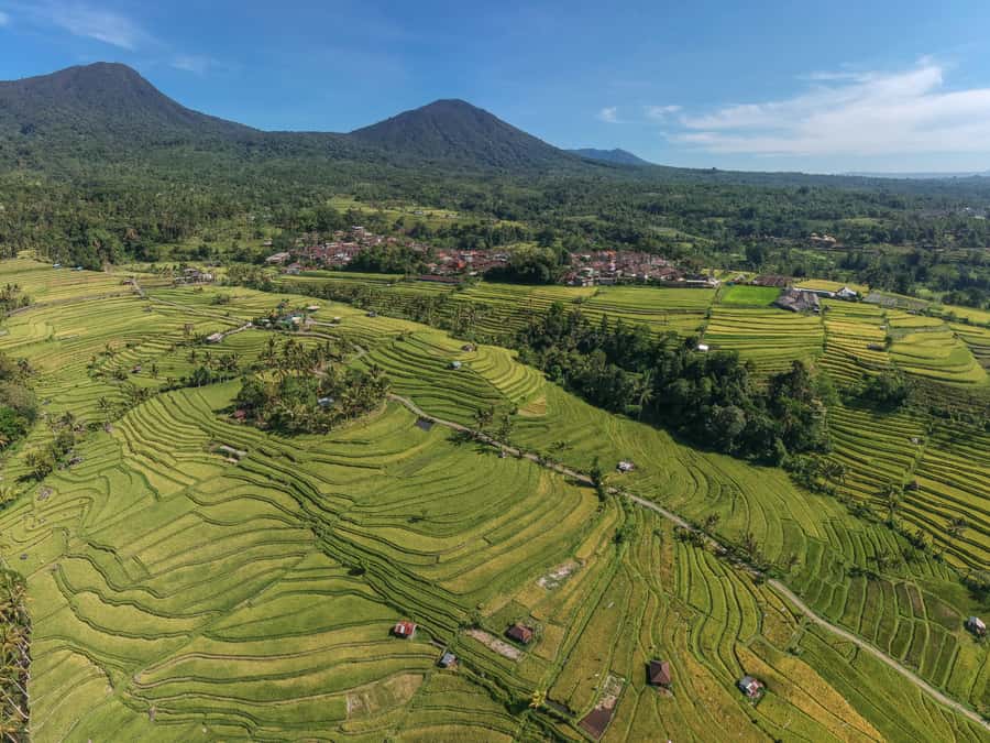 Bali: Green and Heritage West Trip Private Tour, Luxury Car - Price and value: what you’re really paying for at $46 per person
