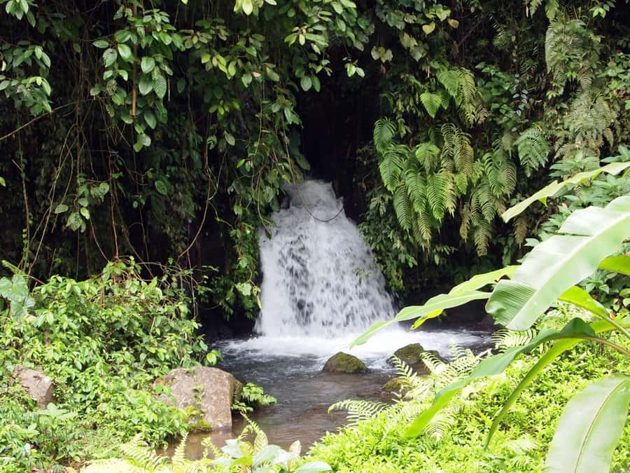 Bali: Gunung Kawi Temple & Pakerisan UNESCO Guided Tour - Who should book, and who should sit this one out