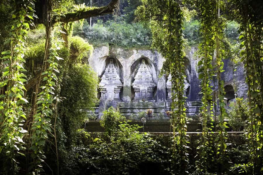 Bali: Gunung Kawi Temple & Pakerisan UNESCO Guided Tour - Timing and meeting points: how to keep the day calm (not hot)