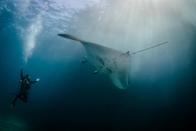 Bali Hai - Reef Cruise - Key things to know before you go