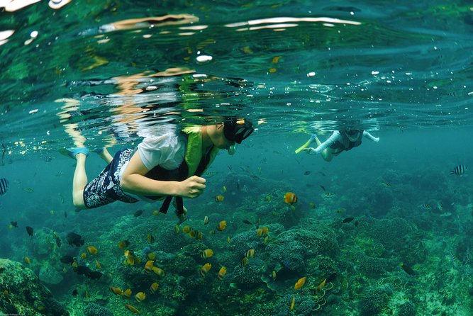 Bali Hai - Reef Cruise - Life at the pontoon: banana boats, the 35-meter slide, and reef time