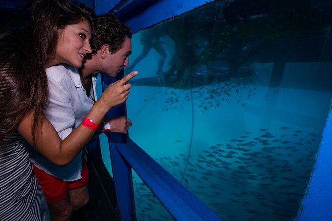 Bali Hai - Reef Cruise - Semi-submersible coral viewing chamber: reef views without the hassle