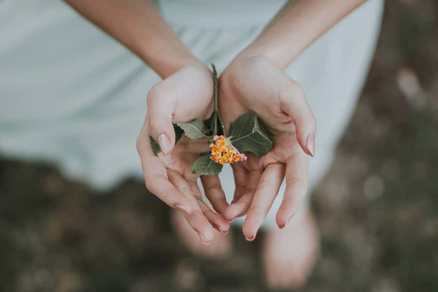 Bali: Healing and Aura Cleansing Tour with Yoga & Meditation - Pickup, then instant “slow down” energy