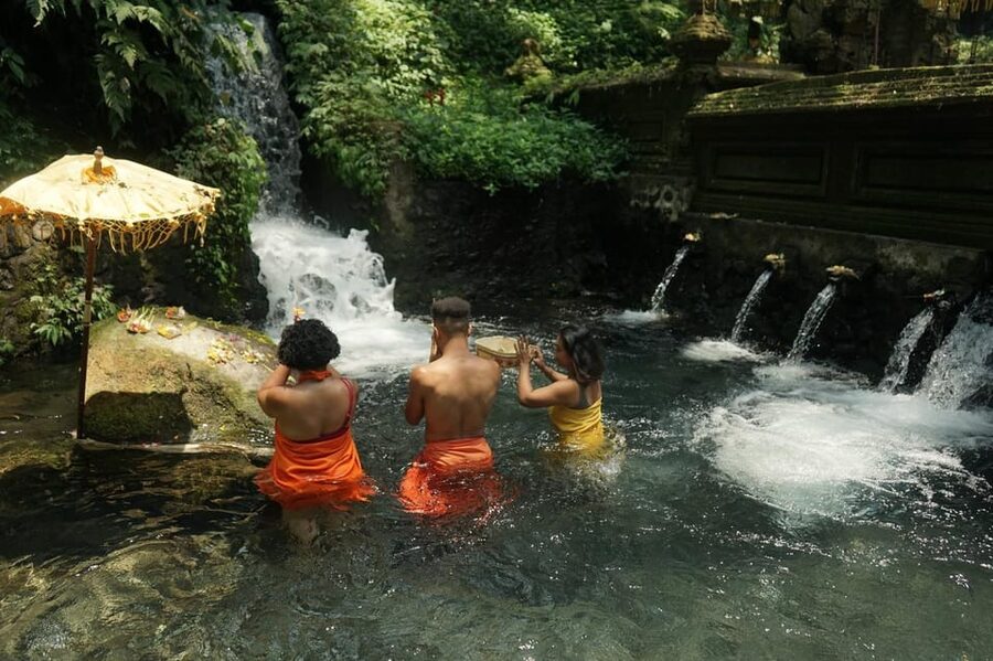 Bali: Healing Immersion Ubud Balinese Wellness + Lunch - Price and value: is $55 really fair for 6 hours in Ubud?