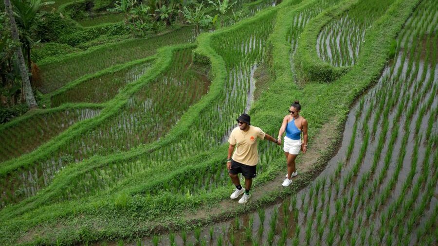 Bali: Heaven Swing, Beratan temple, Rice Terrace - Budgeting the real cost: $29 value plus tickets and tips