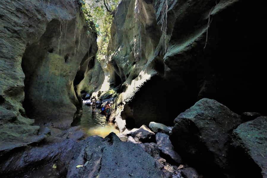 Bali: Hidden Canyon, Waterfall & Temples Small Group Tour - Goa Gajah (Elephant Cave): carvings, roots, and a cave mood