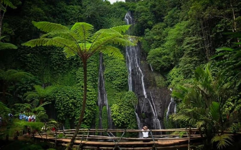 Bali: Highlight Full Day Private Tour - Final Call: Should You Book This Full Day Private Tour?