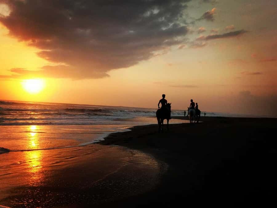 Bali: Horse Riding on Pigstone Beach and in the Rice Fields - Key Things You Should Know Before You Go