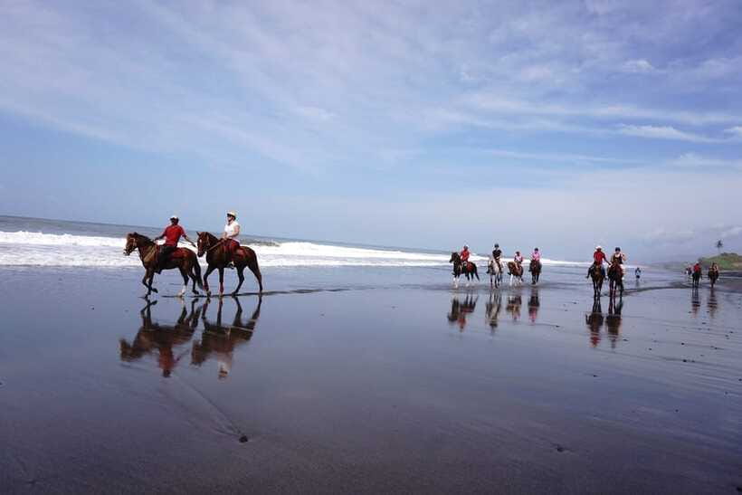 Bali: Horse Riding on Pigstone Beach and in the Rice Fields - Should you book Kuda P Stables and Pig Stone Beach horseback riding?