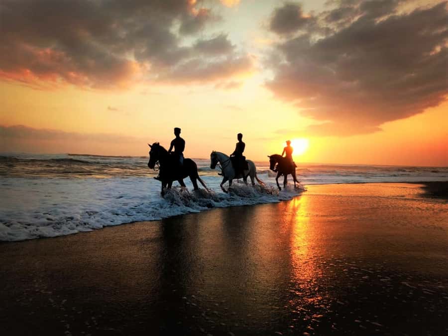 Bali: Horse Riding on Pigstone Beach and in the Rice Fields - Entering Kuda P Stables: Horse choice, safety, and first lessons