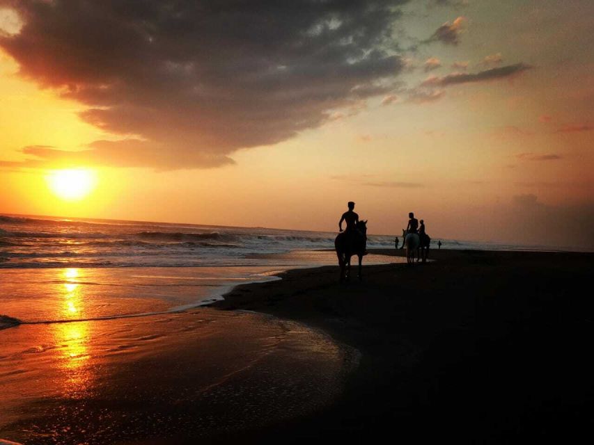 Bali: Horse Riding on Pigstone Beach and in the Rice Fields - Riding the shoreline: speed options, waves, and photo moments