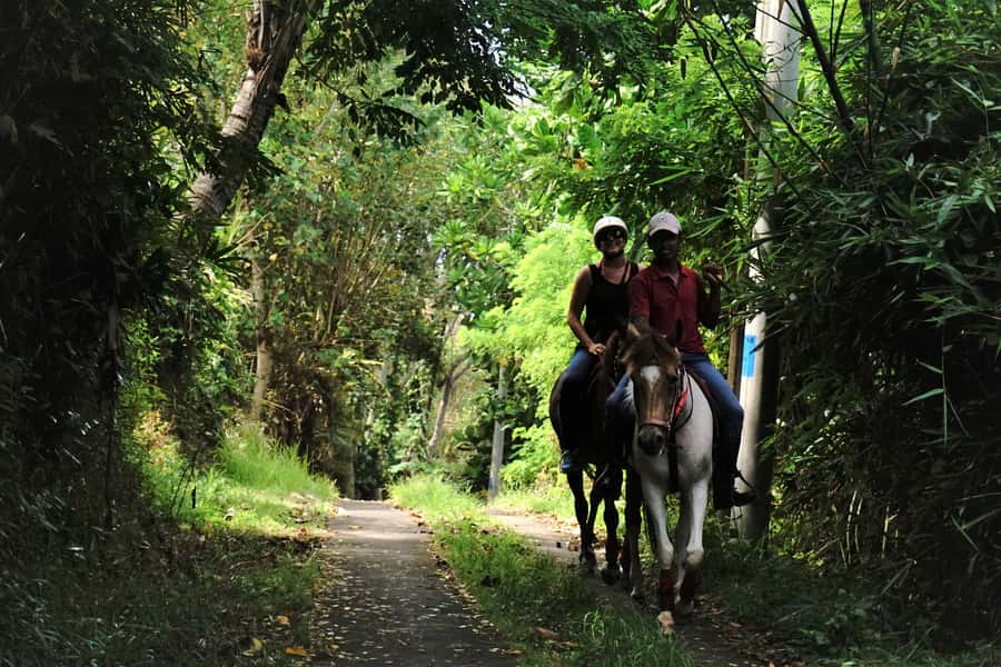 Bali: Horse Riding on Pigstone Beach and in the Rice Fields - Price and value: what $56 buys you in Bali