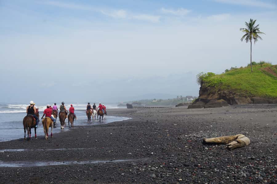 Bali: Horse Riding on Pigstone Beach and in the Rice Fields - What to wear, what to bring, and what can trip you up