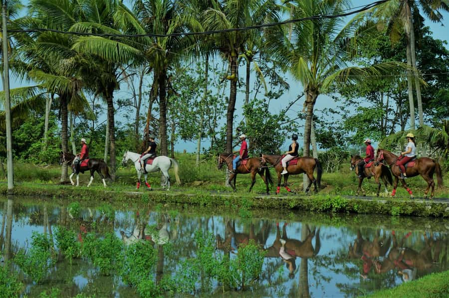 Bali: Horse Riding on Pigstone Beach and in the Rice Fields - Rice fields by horseback: why this part feels special