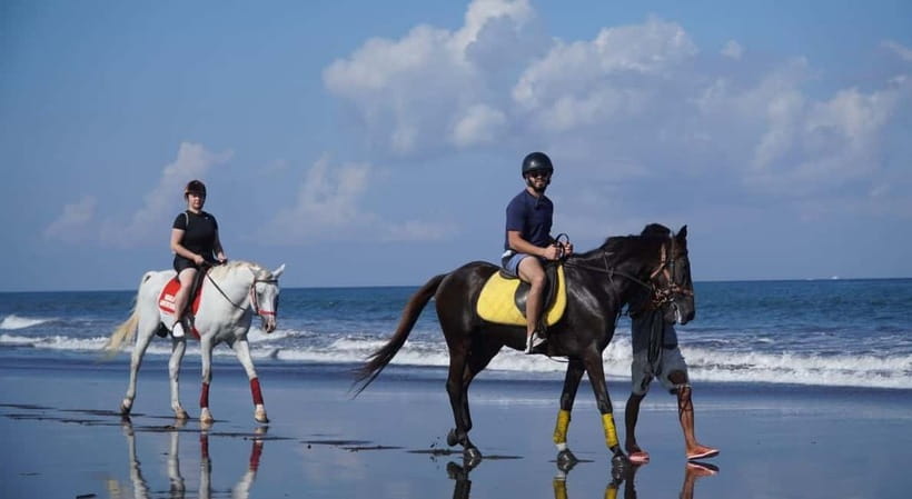Bali: Horse Riding on the beach experience with free shuttle - Water Conditions and Beach Reality: What to Expect When the Shore Looks Messy
