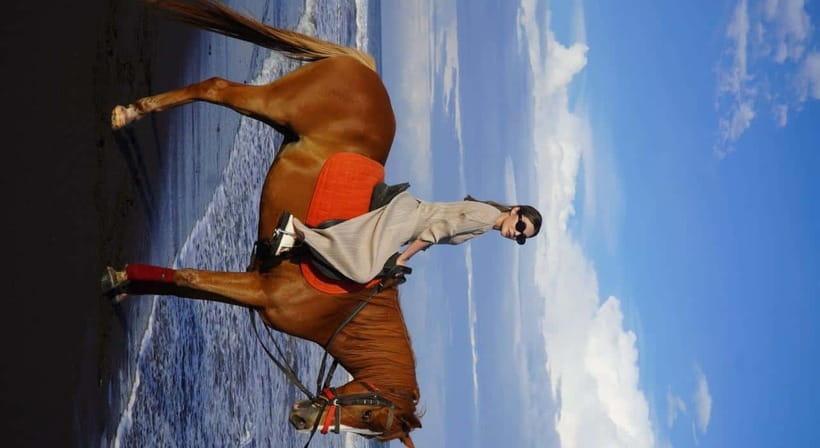 Bali: Horse Riding on the beach experience with free shuttle - Feeding the Horses and Clean Stables: A Good Sign You Can Feel