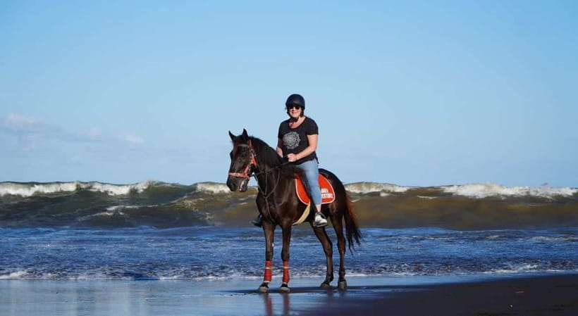 Bali: Horse Riding on the beach experience with free shuttle - Logistics That Matter in Bali: Shuttle Options and What to Bring