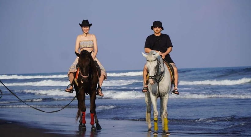 Bali: Horse Riding on the beach experience with free shuttle - Who Should Book This Horse Ride, and Who Should Skip It