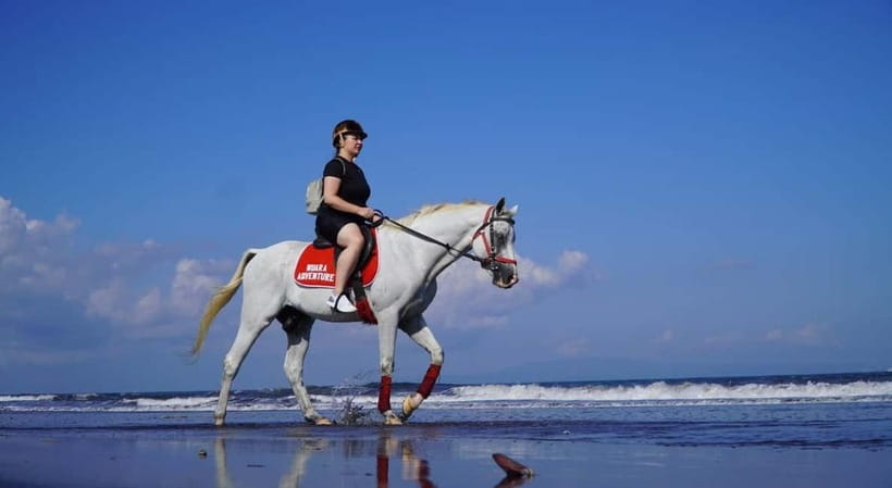Bali: Horse Riding on the beach experience with free shuttle - Welcome Drink, Safety Briefing, and What the Instructor Actually Does