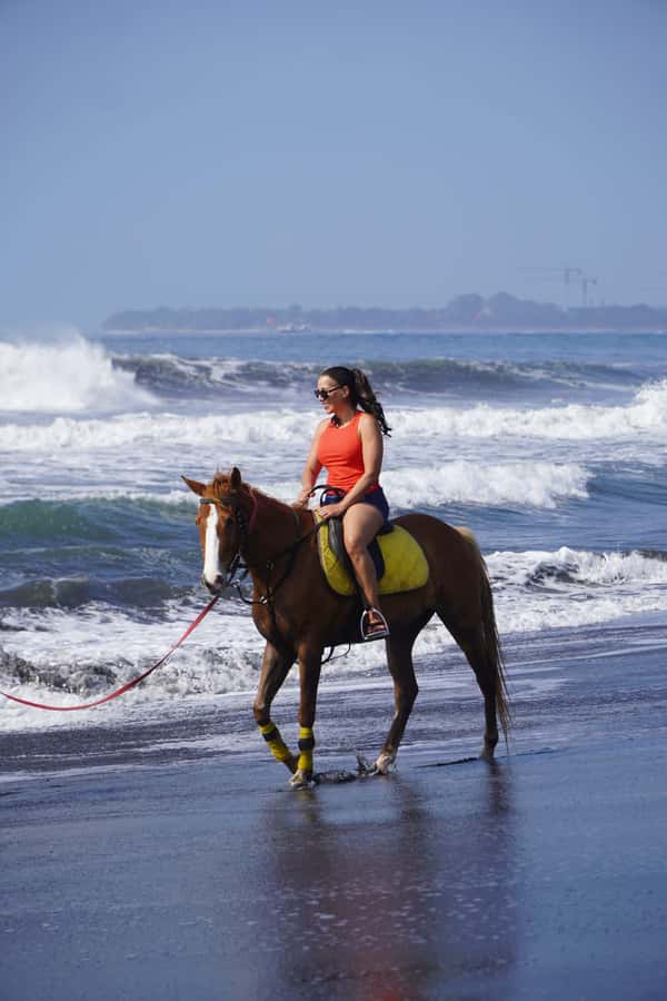 Bali: Horse Riding Sanur Beach Experience with Transport - Key Things That Make This Sanur Horse Experience Worth It