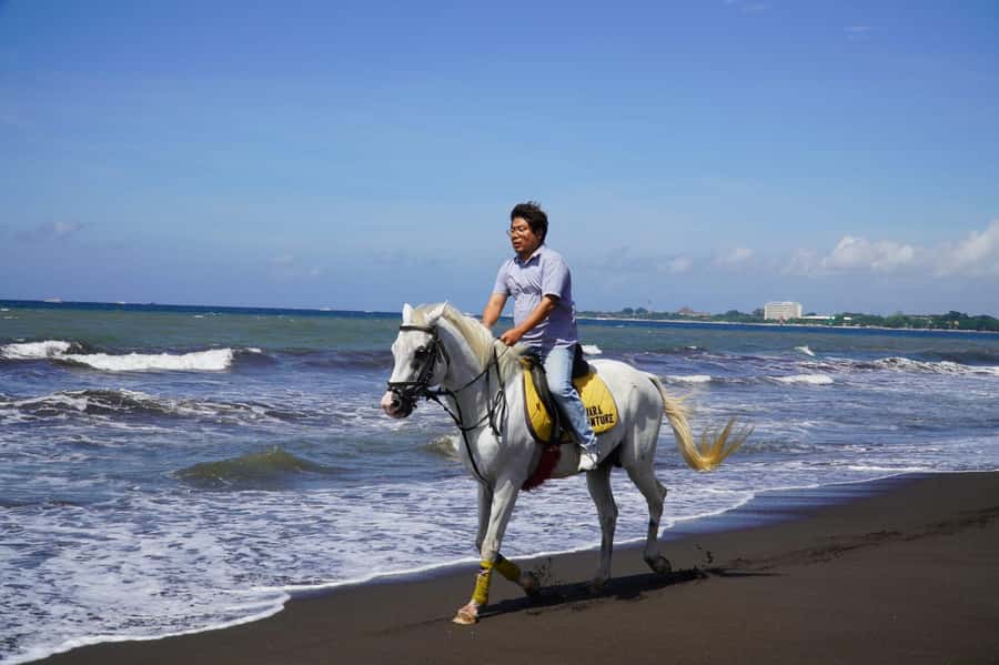 Bali: Horse Riding Sanur Beach Experience with Transport - Who This Is Best For (And Who Should Pass)