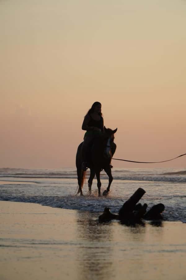 Bali: Horse Riding Sanur Beach Experience with Transport - What the Horse Ride Feels Like, From Helmets to Horse Temperament