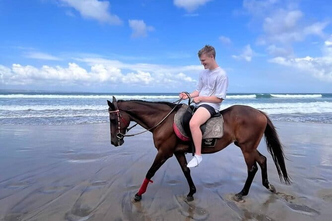 Bali Horse Riding Seminyak Beach Experience Private Transport - Who should book this ride (and who might not)