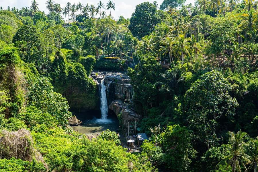 Bali: Horse Riding & Turtle Release Experience at Saba Beach - Tegenungan or Kanto Lampo: Picking the Waterfall That Fits Your Day