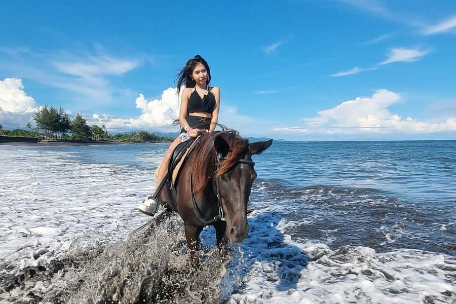 Bali: Horse Riding & Turtle Release Experience at Saba Beach - Coffee Plantation and Bali Swing: A Fun Finish Without the Rush
