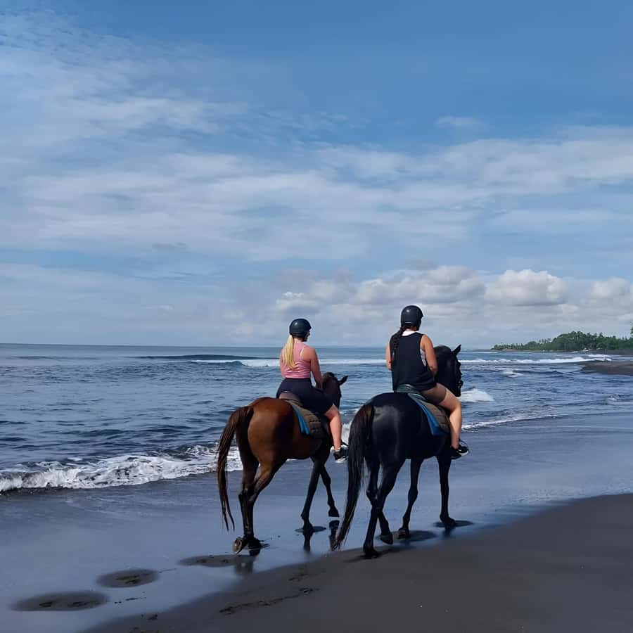 Bali: Horse Riding & Turtle Release Experience at Saba Beach - Private Transfers and a Driver Who Makes the Day Easier