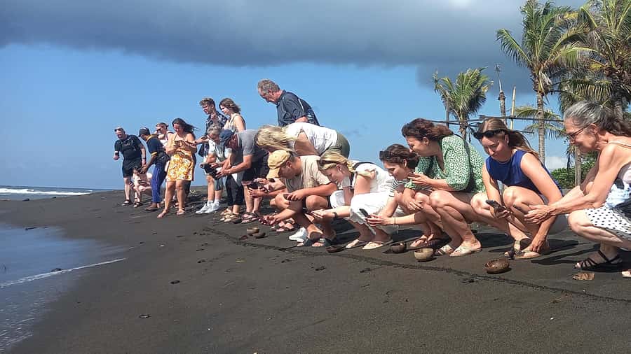Bali: Horse Riding & Turtle Release Experience at Saba Beach - Turtle Conservation Center and Baby Turtle Release: What You Do and Why It Matters