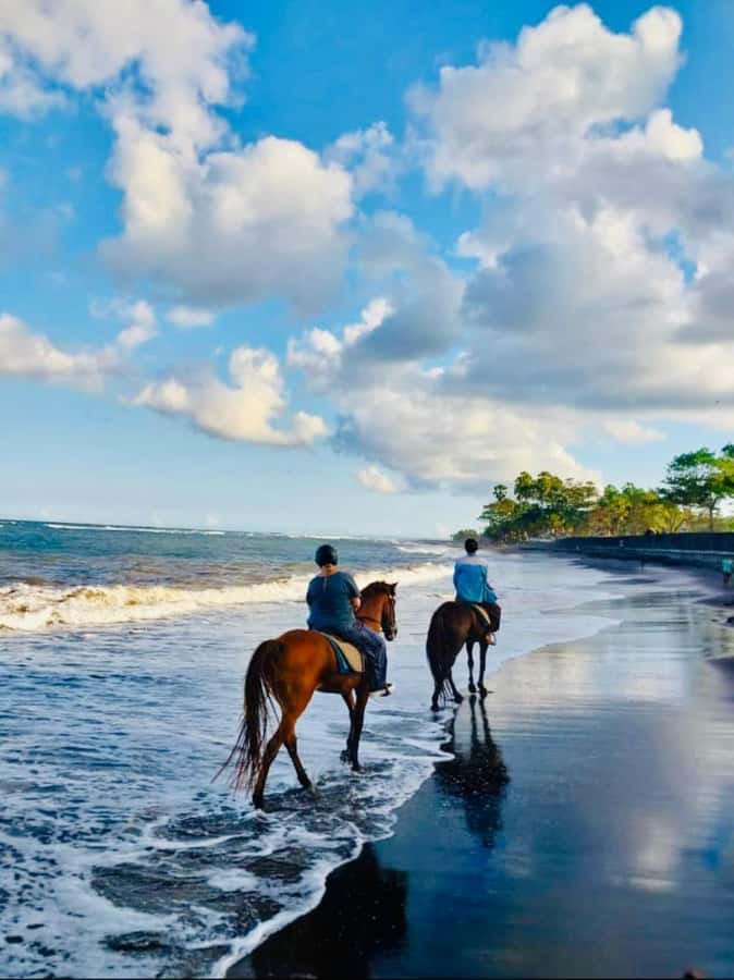 Bali: Horseback Tour Through Saba Beach and Local Temples. - Getting started: helmets, handlers, and a comfort-first briefing