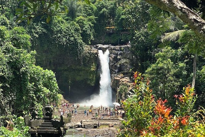 Bali Iconic Tour with Buffet Lunch and Attraction Tickets - Sacred Monkey Forest Sanctuary: long-tailed macaques, up close