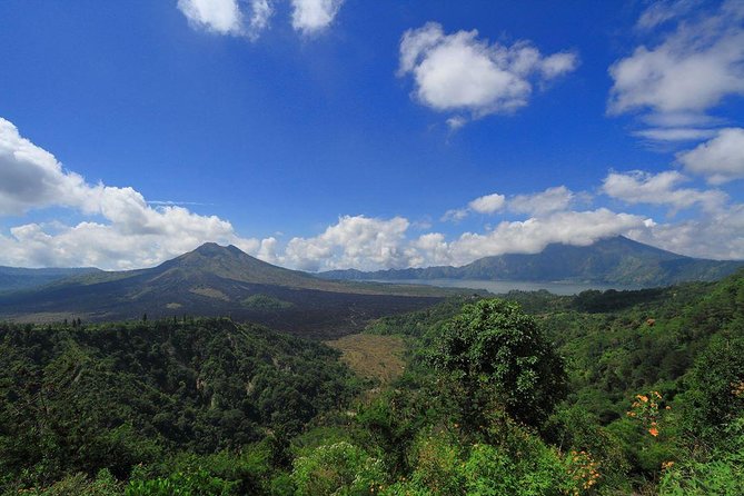 Bali Iconic Tour with Buffet Lunch and Attraction Tickets - Price and value: what $77 buys you in real terms