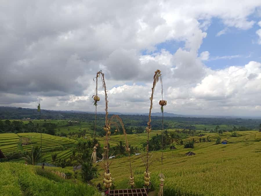 Bali in 1 Day : Iconic temples -UNESCO Sight - All inclusive - Jatiluwih Rice Terraces: UNESCO world heritage, done in a human pace