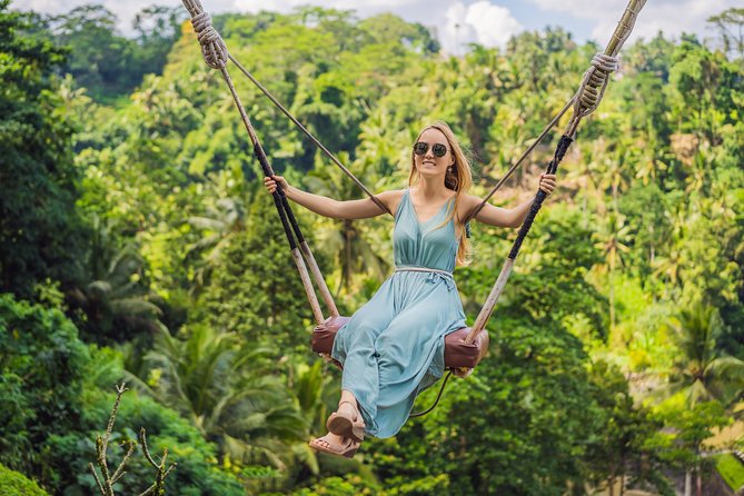 Bali Instagram: Gate of Heaven Temple Tour - Private tour format: how the driver changes your day