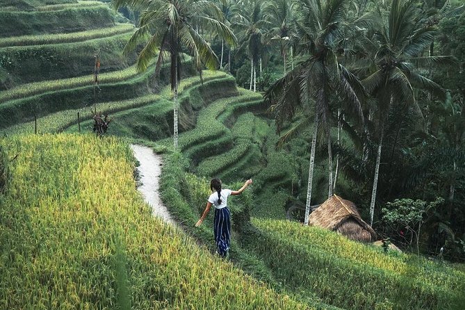 Bali Instagram Tour from Your Hotel (Private & Full-day) - Ubud temples, woodcarving art, and Tirta Empul water rituals